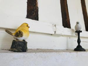 Maisons de vacances La petite Normande en ville : photos des chambres