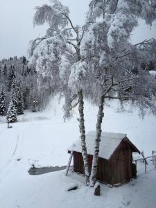 Lodges La Chanterelle - Mountain Lodge : photos des chambres