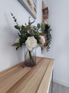 Apartamento en Alicante La Casa Azul