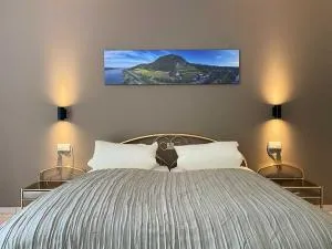 Weingut Pieper - Vinothek & Hotel am Drachenfels - Bad Honnef am Rhein