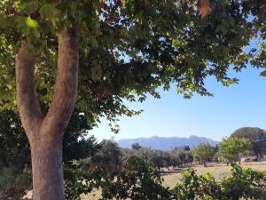 Swan House Panoramic View - Near the sea