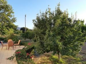 Swan House Panoramic View - Near the sea