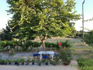 Swan House Panoramic View - Near the sea