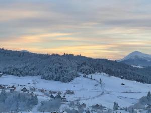 Chalet Panorama (Апартаменти)