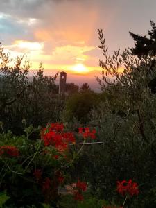 La casetta di campagna Alloggio nel Chianti