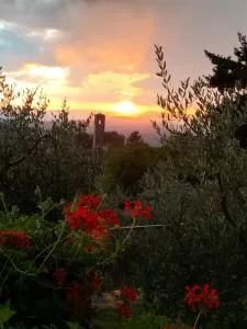 La casetta di campagna Alloggio nel Chianti - لوندا