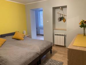 Apartament z widokiem na Szrenicę w sercu Szklarskiej Poręby