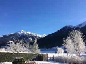 Apartment Wildalmblick