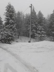 Apartman Planinski san Divčibare