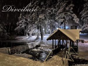 Apartman Planinski san Divčibare