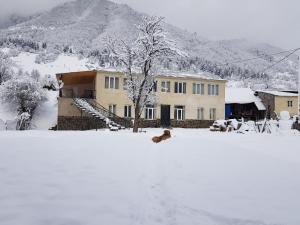 Babales guesthouse in Mestia