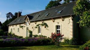 B&B / Chambres d'hotes Chateau Vary : photos des chambres