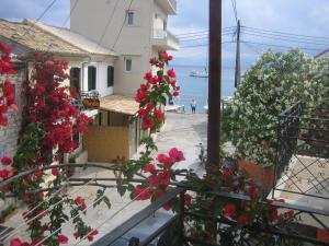 Evi's Maisonette Paxoi Greece