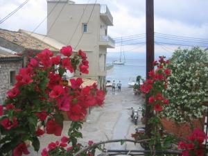 Evi's Maisonette Paxoi Greece