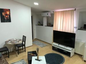 Serban Home Arenele Romane Marius Nasta