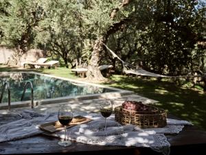 Vafias Villa - Tranquil Location, Ideal for Large Groups, by ZanteWize