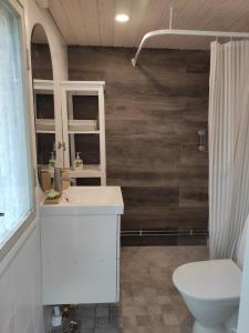 Old Finnish lakeside cottage with sauna