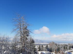 Ferienwohnung Bodenseeblick