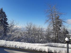 Ferienwohnung Bodenseeblick