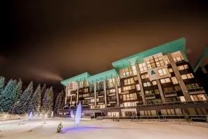 Pine Woods Apartment B35 in Silver Mountain - 莱斯诺夫