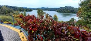 Domek Nad River San - pierwsza linia brzegowa - balia - łodzie - basen