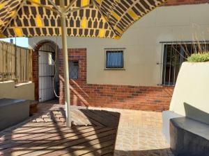 Ocean rush barracuda