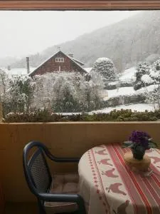 Appartement vue montagne avec wifi - 圣拉里苏朗