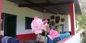 Finca Umnisa - Choachi