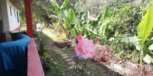 Finca Umnisa - Choachi