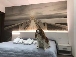 Double or Twin Room room in Hotel Ragno D'Oro