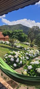 Pousada do Morro Verde