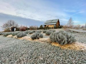 Country house Domik v derevne