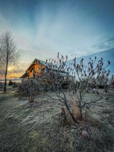 Country house Domik v derevne