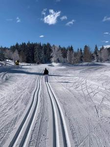 Studio sur les pistes