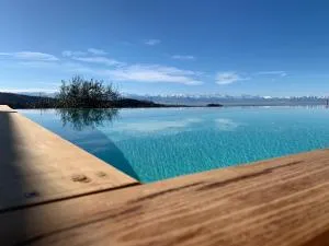 Radice Verde - Pezzea