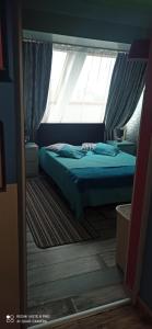 color dreamapartment center in Sofia