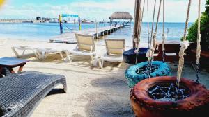 Hotel Machos Mahahual
