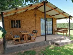 Biekiesvlei - Wolmaransstad