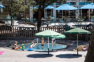 Campings Huttopia Chardons bleus Ile de Re : photos des chambres