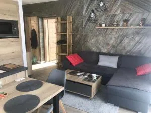 Apartmány Vila Vlasta Vysoké Tatry - 斯塔利斯莫克维克