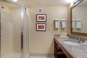 Comfort Inn University Area