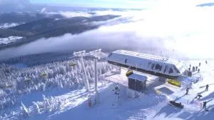 Biała Perła Sunny Mountain 103 - 西恩纳