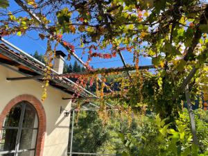 La Limonaia di Casagrande