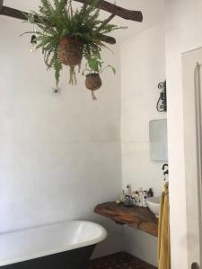 La Limonaia di Casagrande