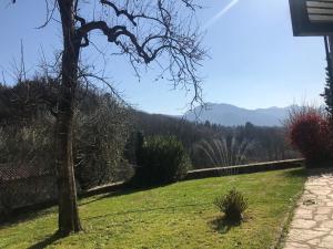 La Limonaia di Casagrande