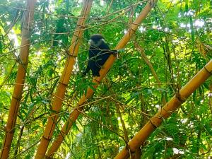 Aluthgedara Guest House