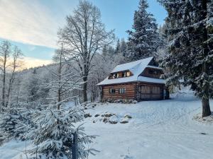 Domek Górski przy Bukowej Chacie