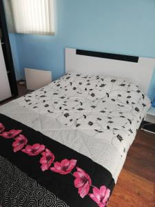 Стаи за гости РИЛА