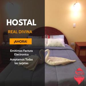 Hostal Real Divina