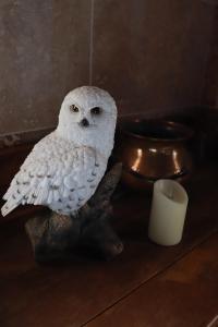 Le grand gîte du Sorcier ! Logement magique